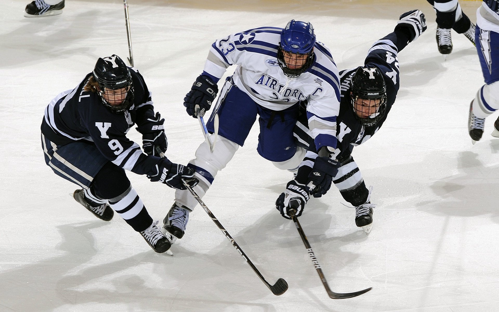 世界篮球巨星慈善赛上海站激情开战，篮球慈善明星赛